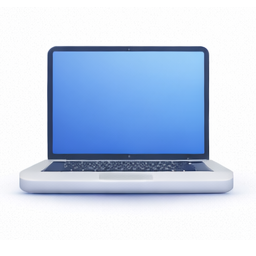 Laptop service